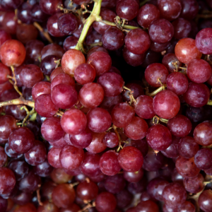 Winogrono